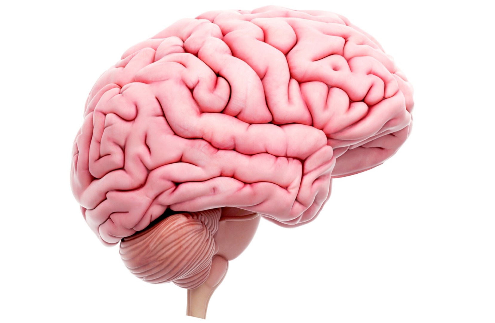 Προειδοποιητικά σημεία - σημάδια Εγκεφαλικού