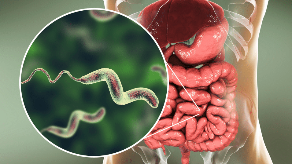 Διατροφή γαστρεντερίτιδας