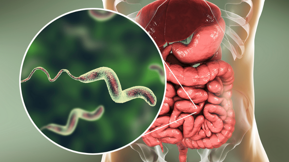 Δίαιτα για γαστρεντερίτιδα